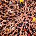 Crowd-picture